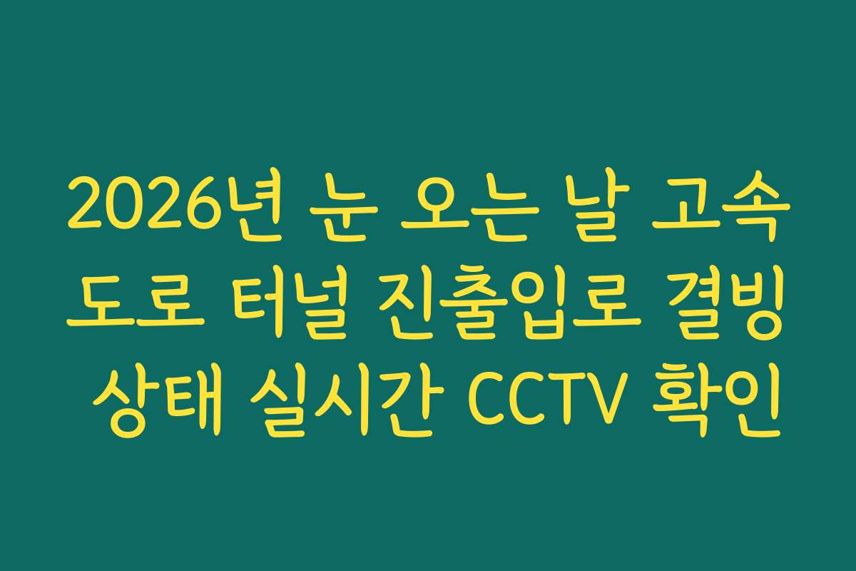 2026년 눈 오는 날 고속도로 터널 진출입로 결빙 상태 실시간 CCTV 확인 2026년 눈 오는 날 고속도로 터널 진출입로 결빙 상태 실시간 CCTV 확인