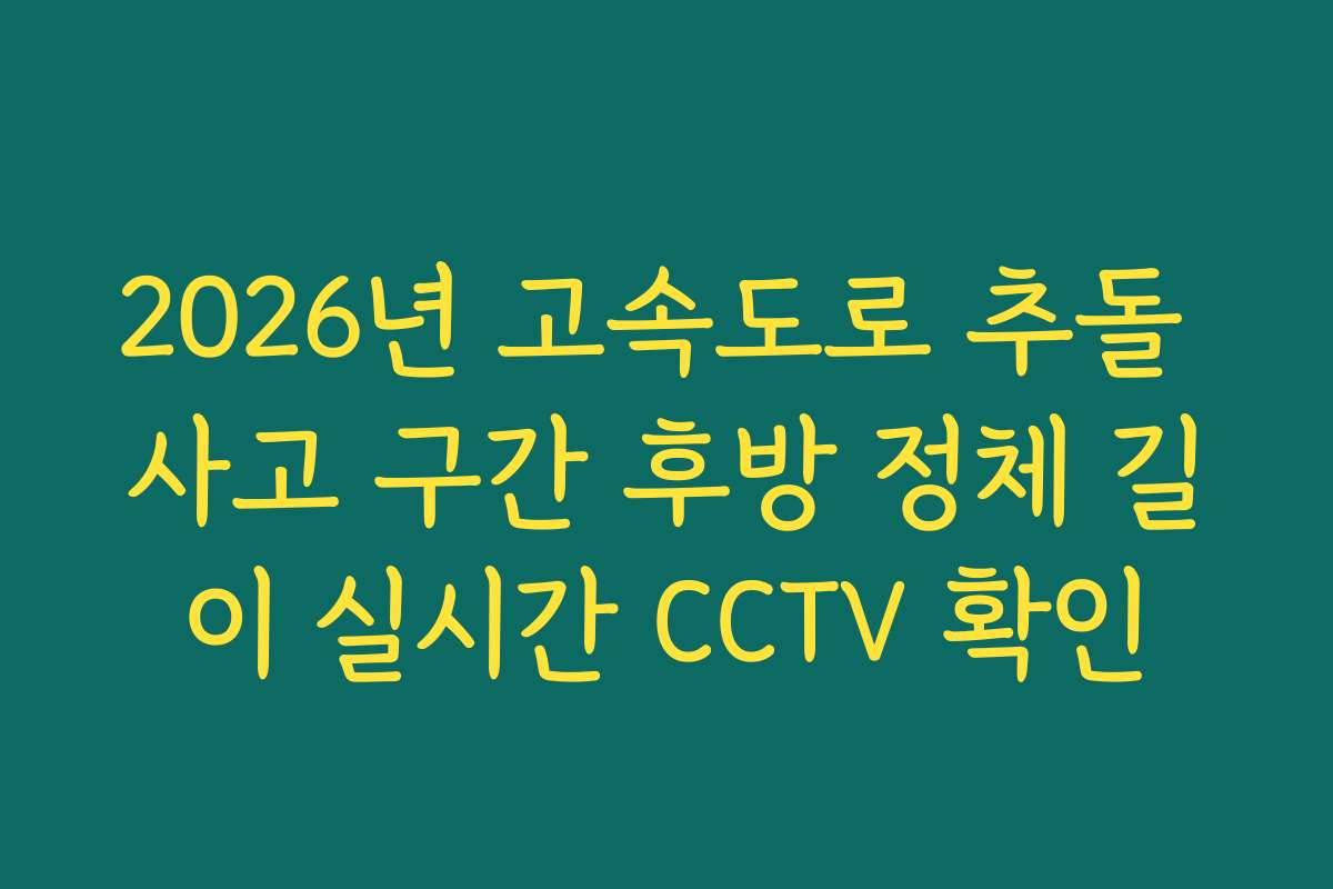 2026년 고속도로 추돌 사고 구간 후방 정체 길이 실시간 CCTV 확인 2026년 고속도로 추돌 사고 구간 후방 정체 길이 실시간 CCTV 확인