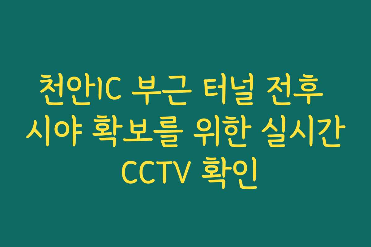 천안IC 부근 터널 전후 시야 확보를 위한 실시간 CCTV 확인