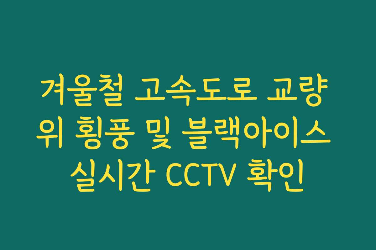 겨울철 고속도로 교량 위 횡풍 및 블랙아이스 실시간 CCTV 확인