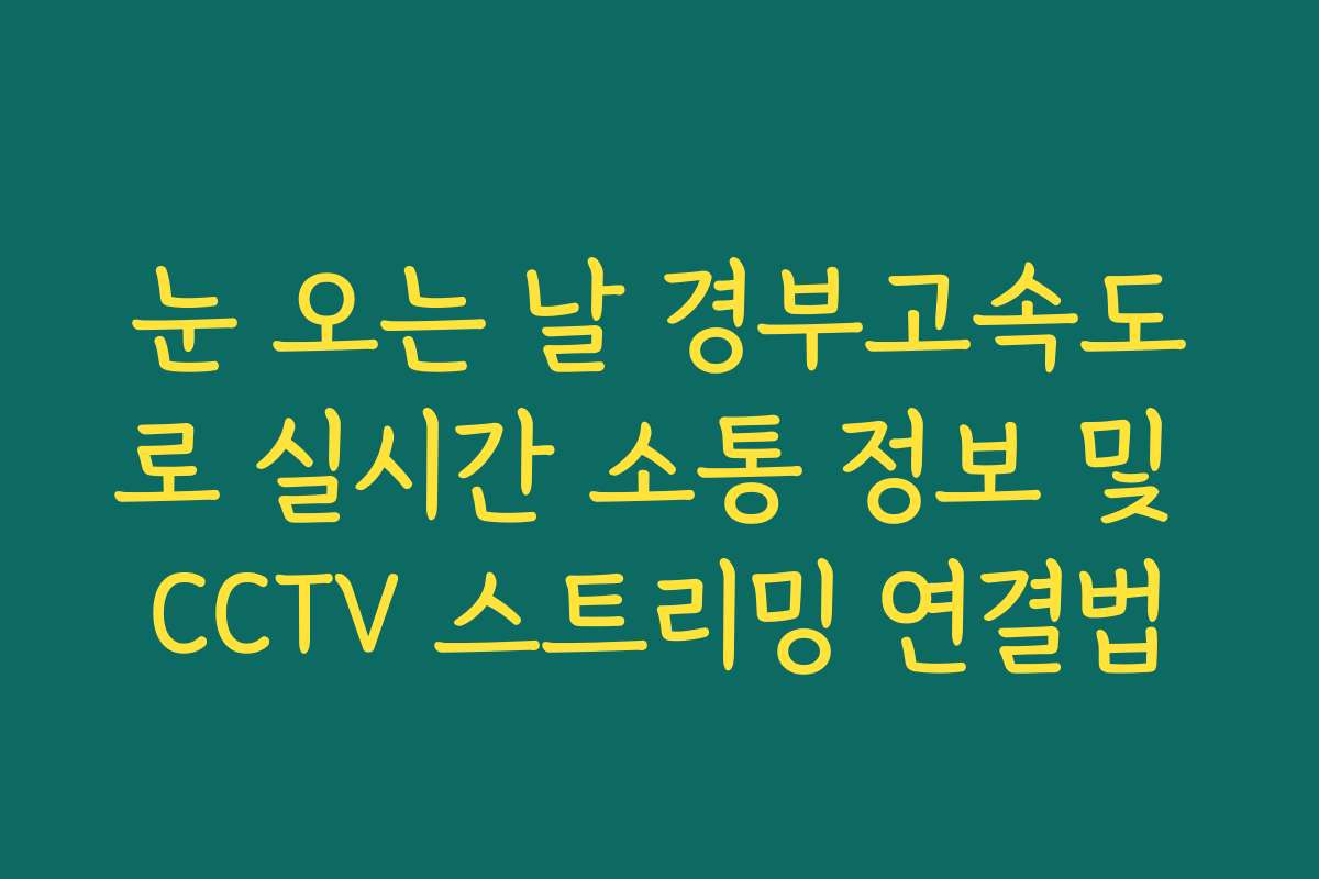 눈 오는 날 경부고속도로 실시간 소통 정보 및 CCTV 스트리밍 연결법 눈 오는 날 경부고속도로 실시간 소통 정보 및 CCTV 스트리밍 연결법