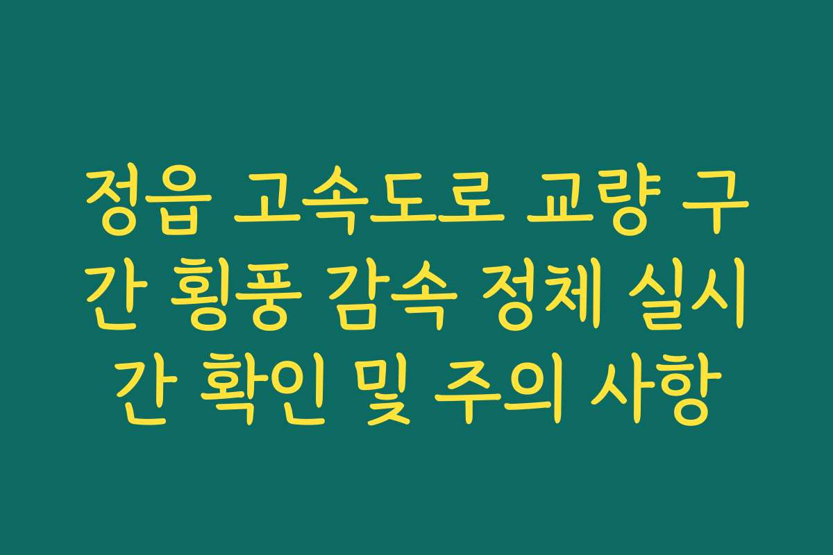 정읍 고속도로 교량 구간 횡풍 감속 정체 실시간 확인 및 주의 사항