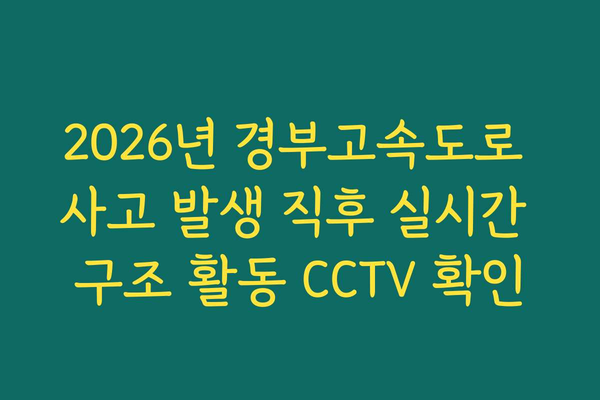 2026년 경부고속도로 사고 발생 직후 실시간 구조 활동 CCTV 확인 2026년 경부고속도로 사고 발생 직후 실시간 구조 활동 CCTV 확인