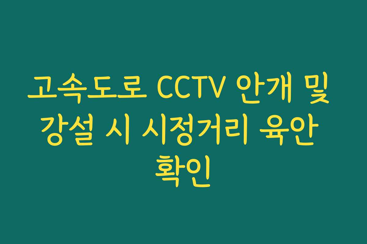 고속도로 CCTV 안개 및 강설 시 시정거리 육안 확인 고속도로 CCTV 안개 및 강설 시 시정거리 육안 확인
