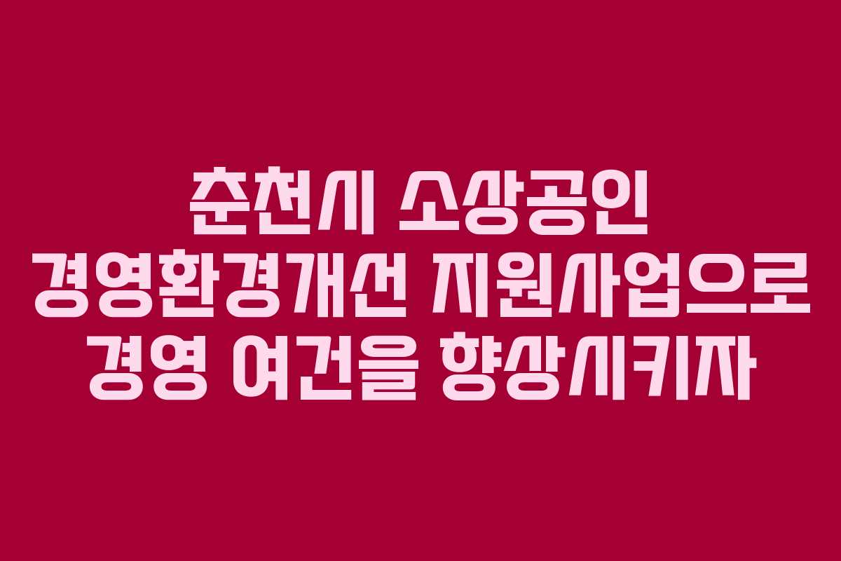 춘천시 소상공인 경영환경개선 지원사업으로 경영 여건을 향상시키자 춘천시 소상공인 경영환경개선 지원사업으로 경영 여건을 향상시키자
