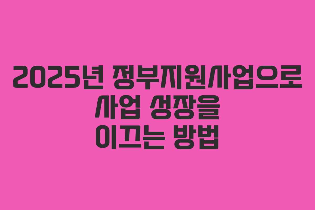 2025년 정부지원사업으로 사업 성장을 이끄는 방법 2025년 정부지원사업으로 사업 성장을 이끄는 방법