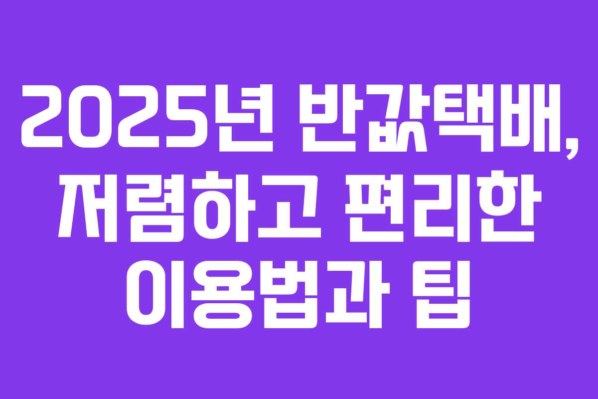 2025년 반값택배, 저렴하고 편리한 이용법과 팁