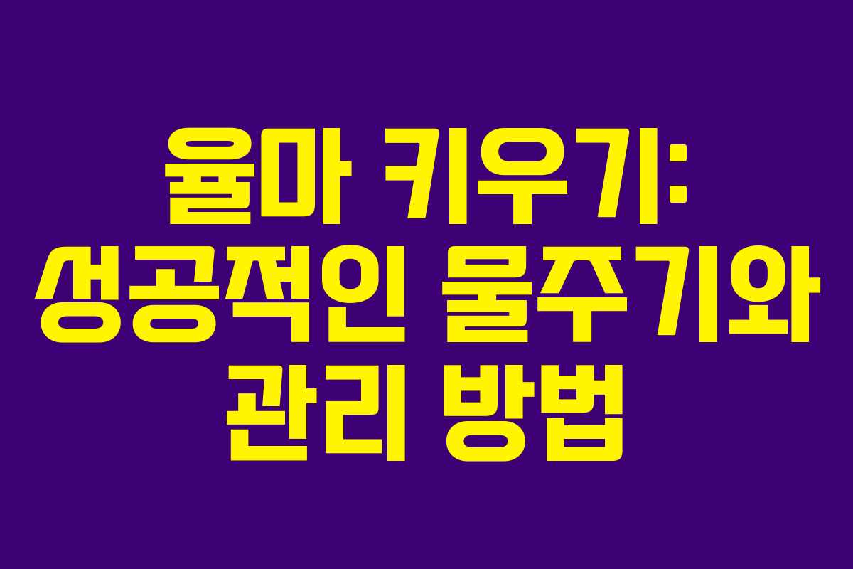 율마 키우기: 성공적인 물주기와 관리 방법