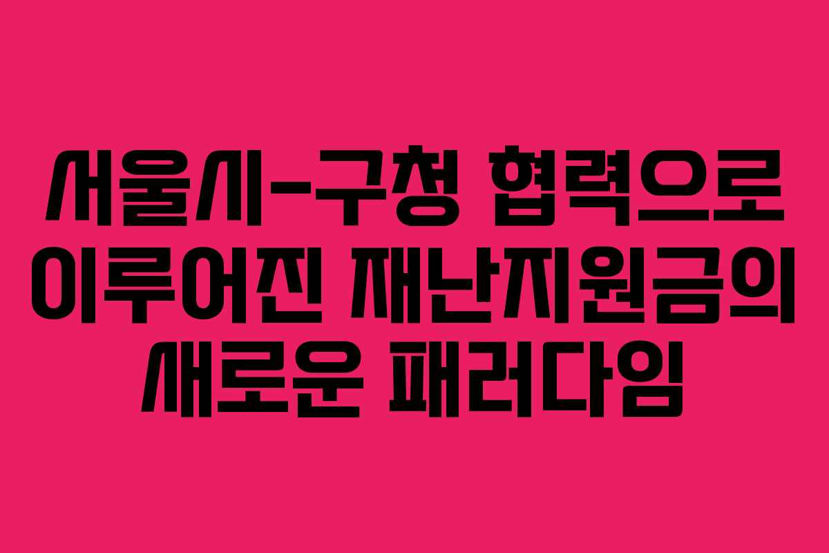 서울시-구청 협력으로 이루어진 재난지원금의 새로운 패러다임