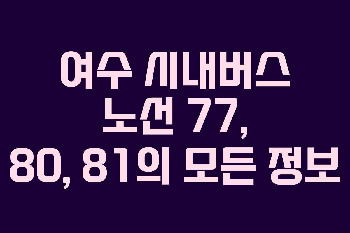 여수 시내버스 노선 77, 80, 81의 모든 정보