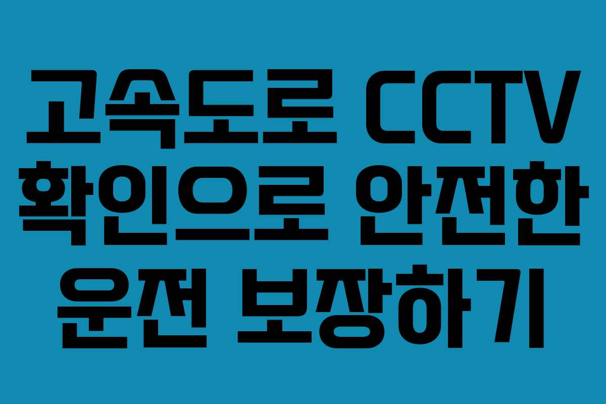 고속도로 CCTV 확인으로 안전한 운전 보장하기 고속도로 CCTV 확인으로 안전한 운전 보장하기