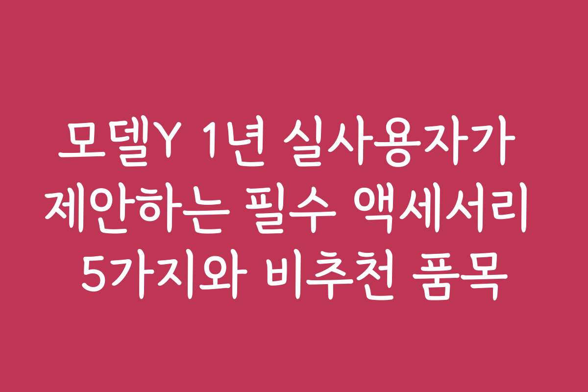 모델Y 1년 실사용자가 제안하는 필수 액세서리 5가지와 비추천 품목
