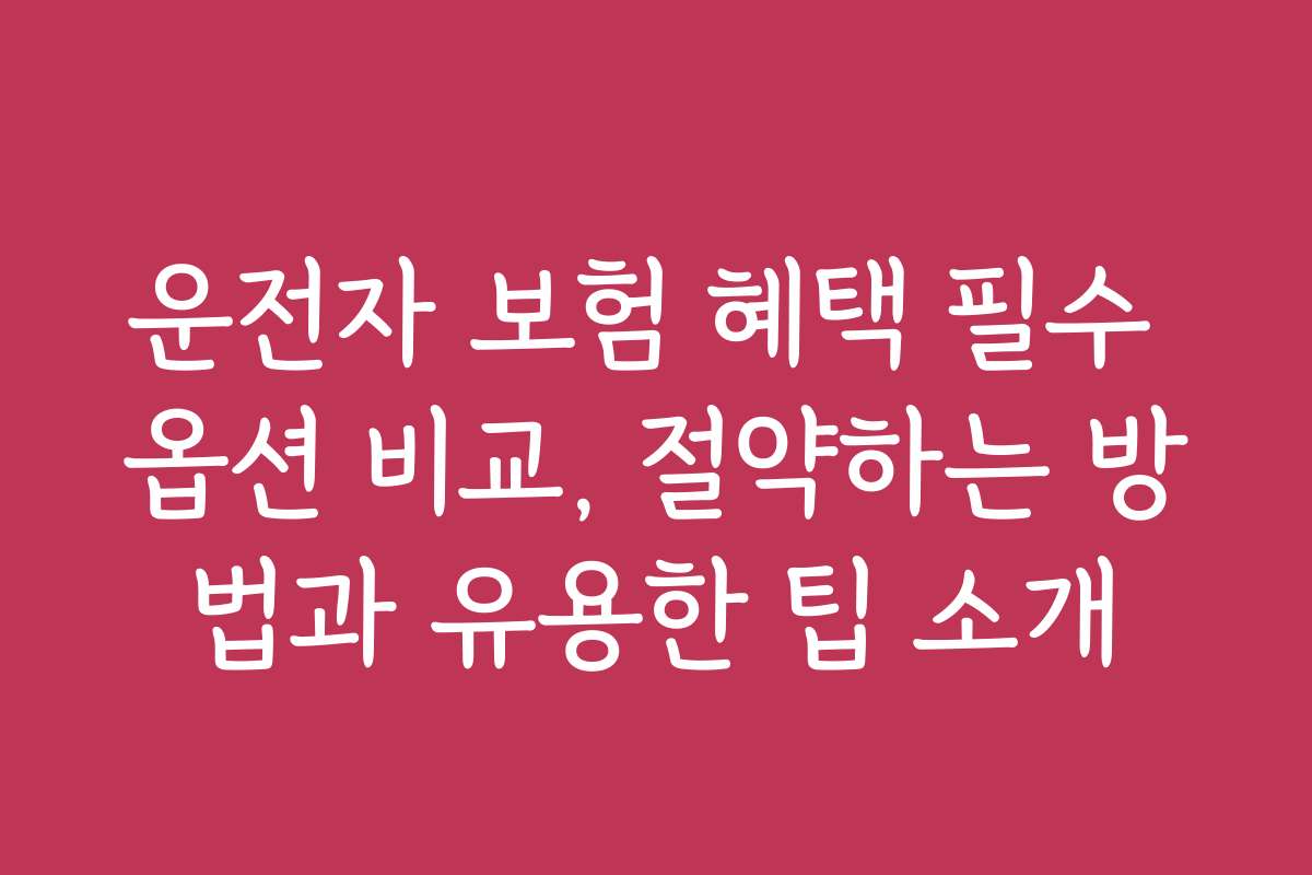 운전자 보험 혜택 필수 옵션 비교, 절약하는 방법과 유용한 팁 소개