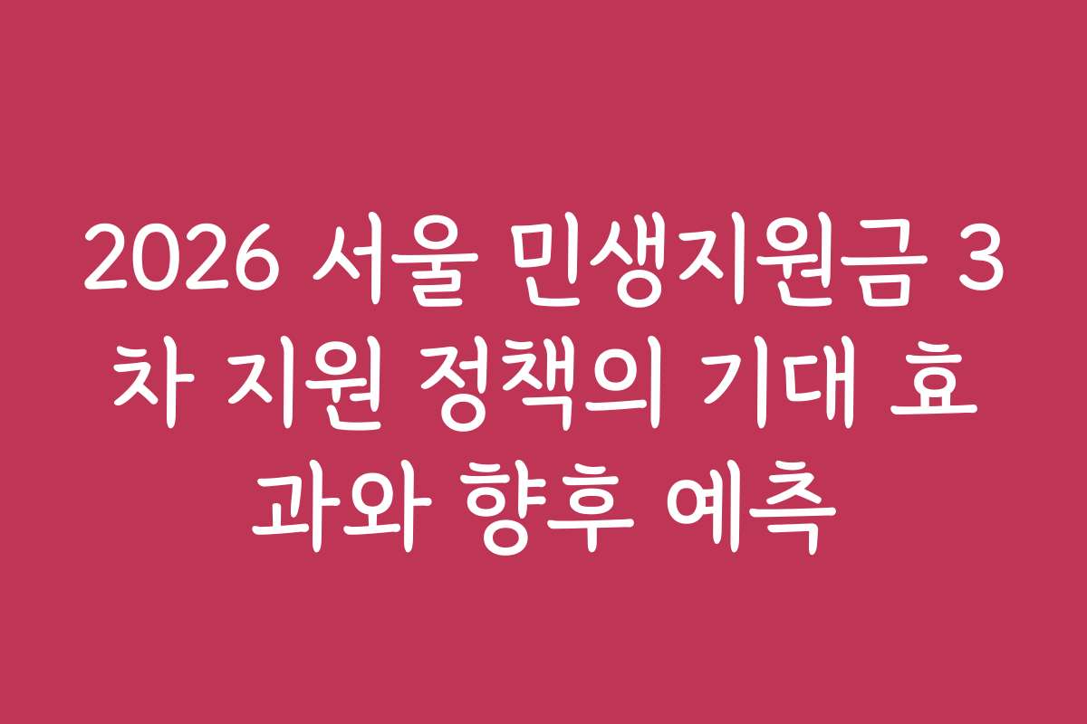 2026 서울 민생지원금 3차 지원 정책의 기대 효과와 향후 예측