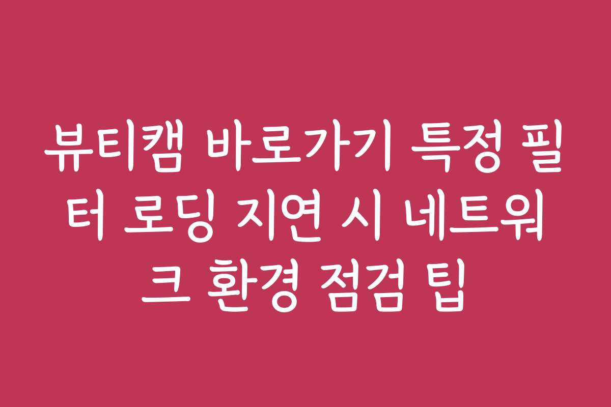 뷰티캠 바로가기 특정 필터 로딩 지연 시 네트워크 환경 점검 팁