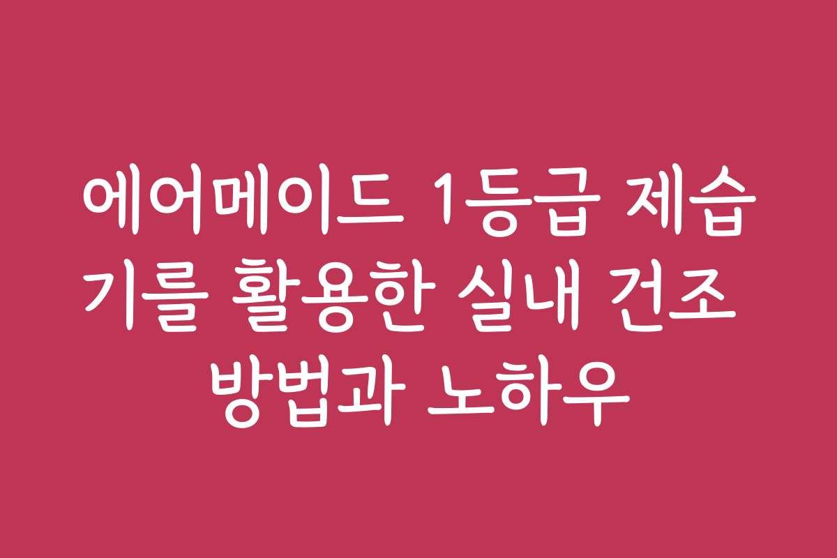 에어메이드 1등급 제습기를 활용한 실내 건조 방법과 노하우
