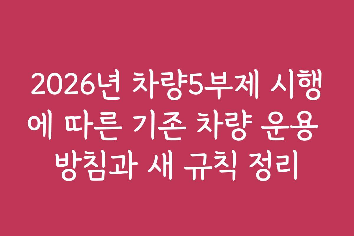 2026년 차량5부제 시행에 따른 기존 차량 운용 방침과 새 규칙 정리