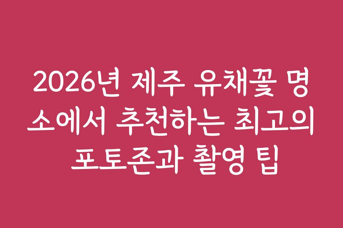 2026년 제주 유채꽃 명소에서 추천하는 최고의 포토존과 촬영 팁
