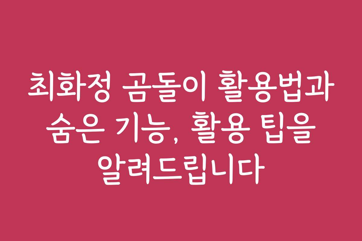 최화정 곰돌이 활용법과 숨은 기능, 활용 팁을 알려드립니다