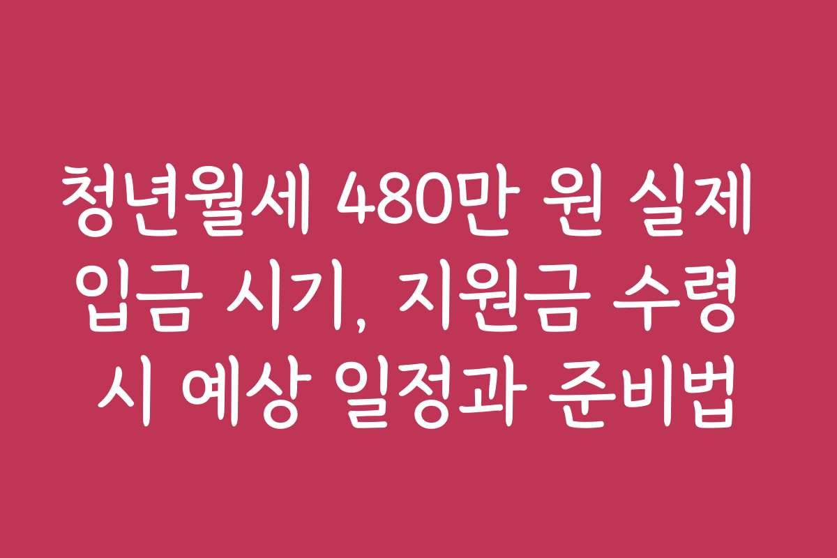 청년월세 480만 원 실제 입금 시기, 지원금 수령 시 예상 일정과 준비법