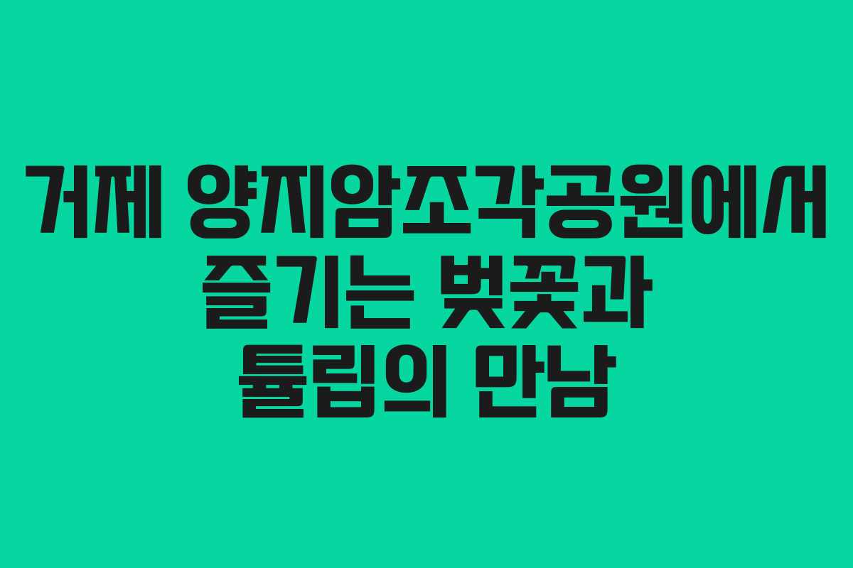 거제 양지암조각공원에서 즐기는 벚꽃과 튤립의 만남 거제 양지암조각공원에서 즐기는 벚꽃과 튤립의 만남