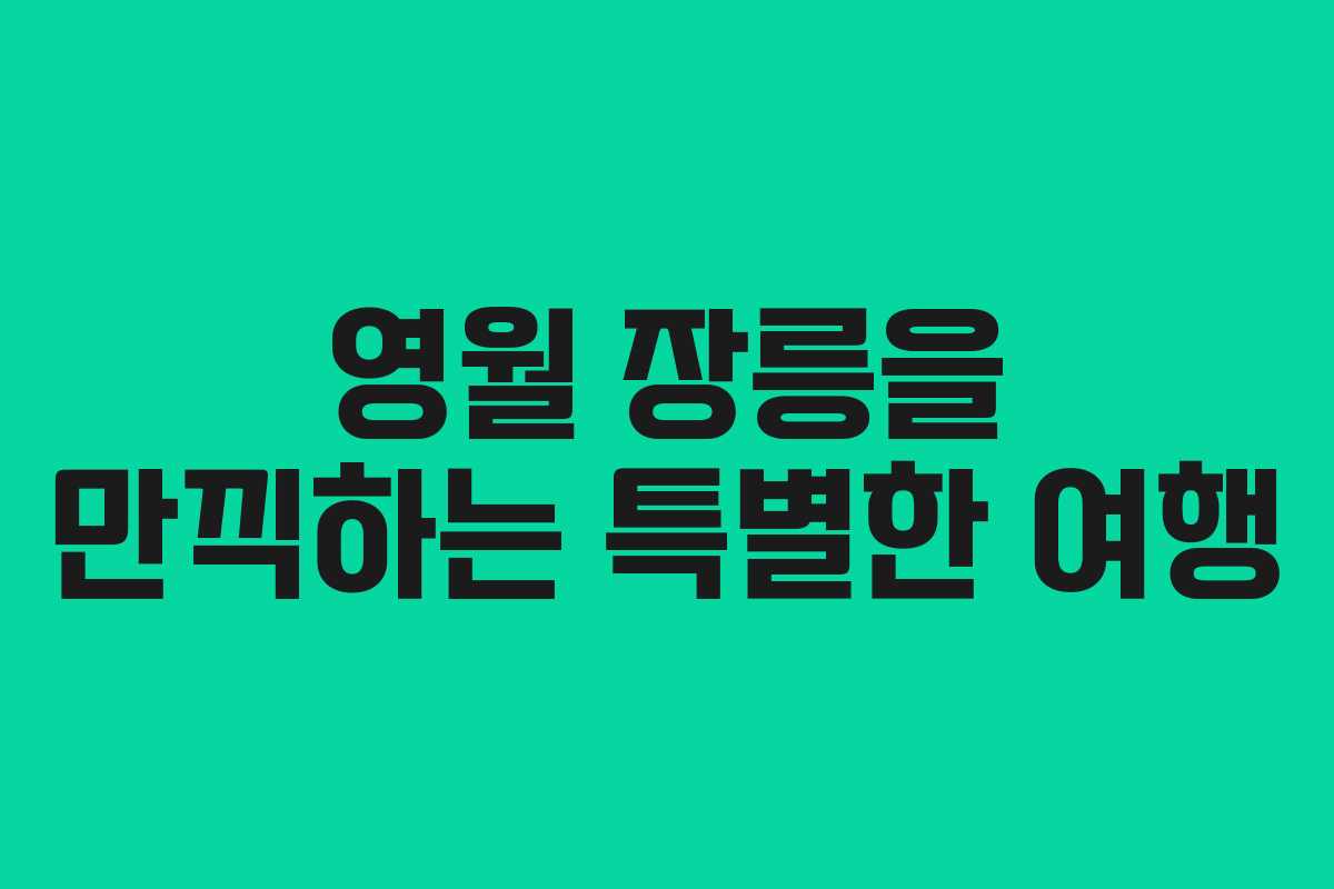 영월 장릉을 만끽하는 특별한 여행