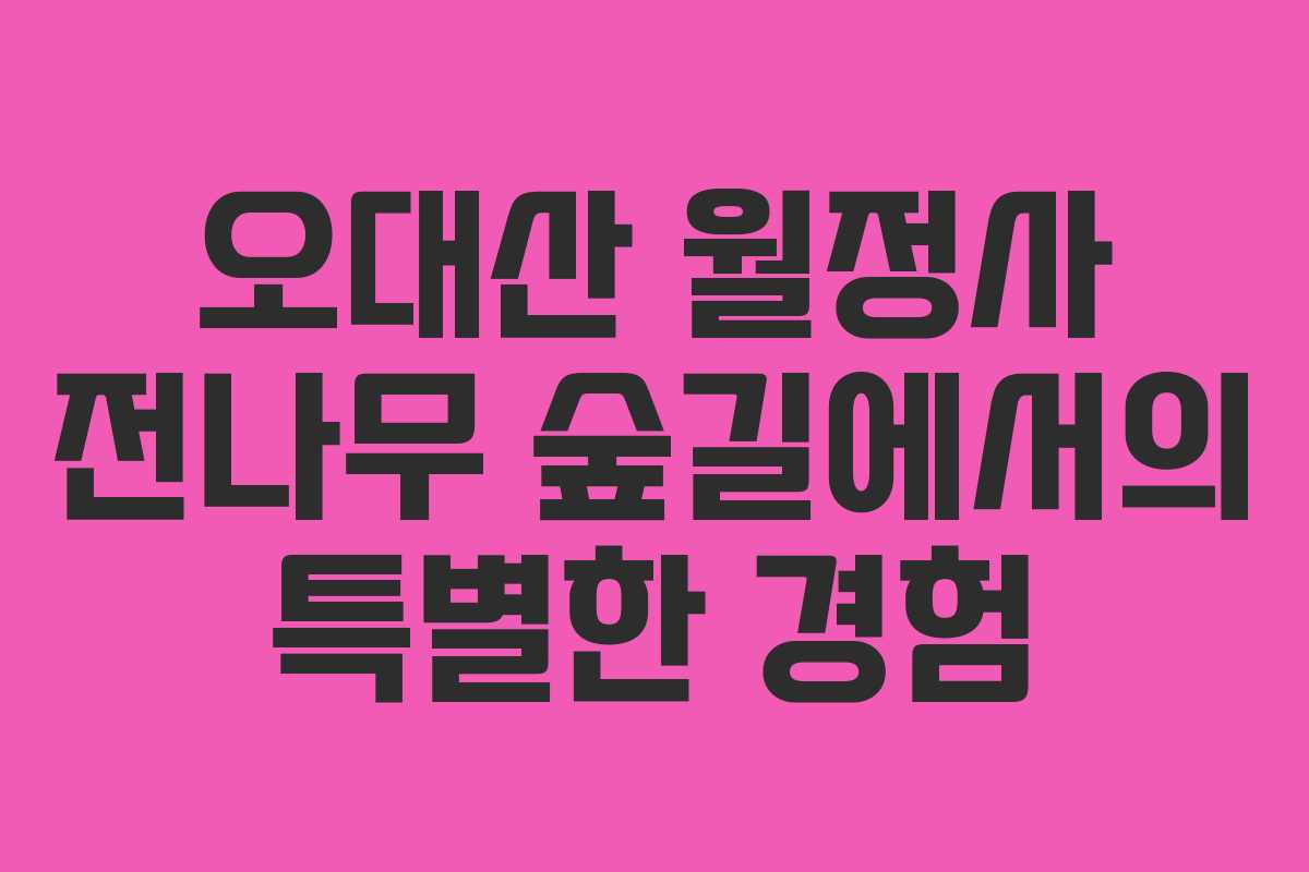 오대산 월정사 전나무 숲길에서의 특별한 경험