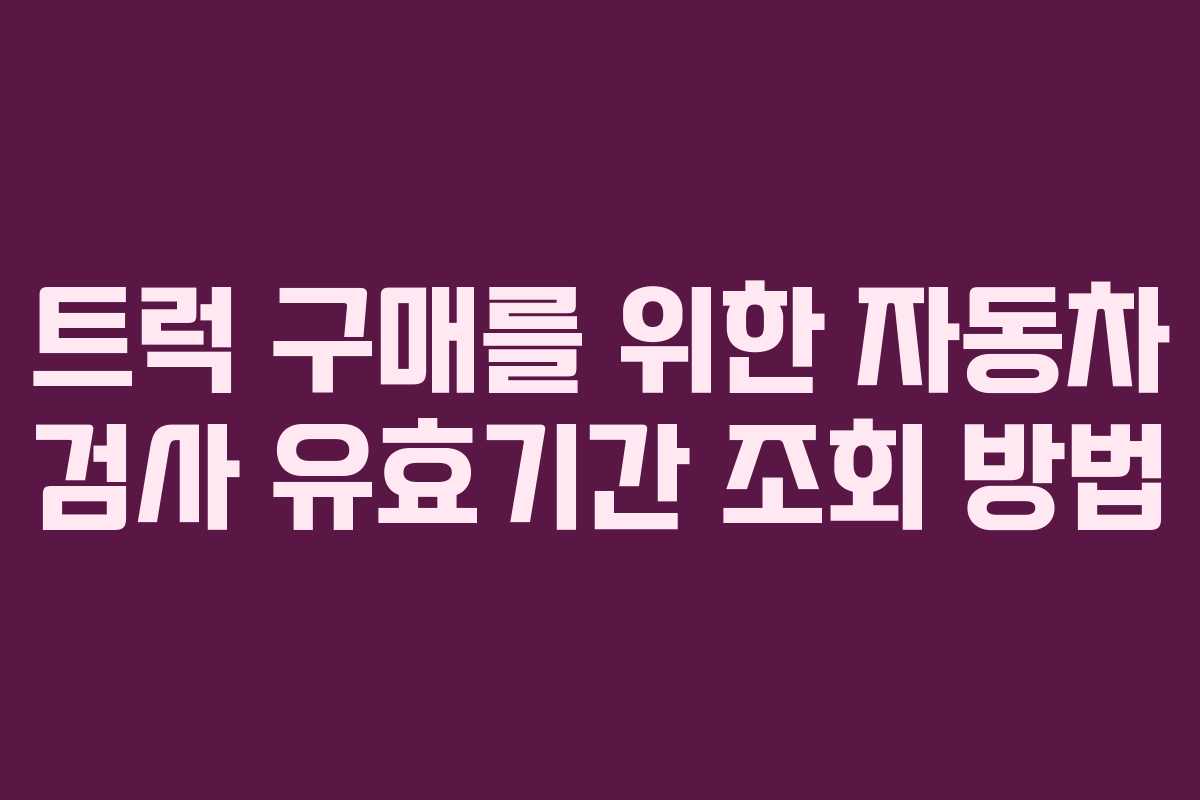 트럭 구매를 위한 자동차 검사 유효기간 조회 방법