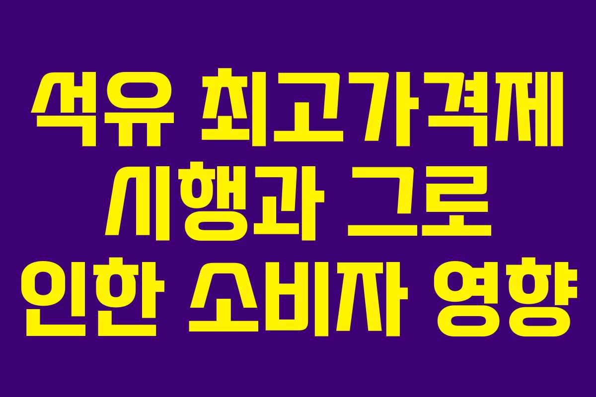 석유 최고가격제 시행과 그로 인한 소비자 영향 석유 최고가격제 시행과 그로 인한 소비자 영향