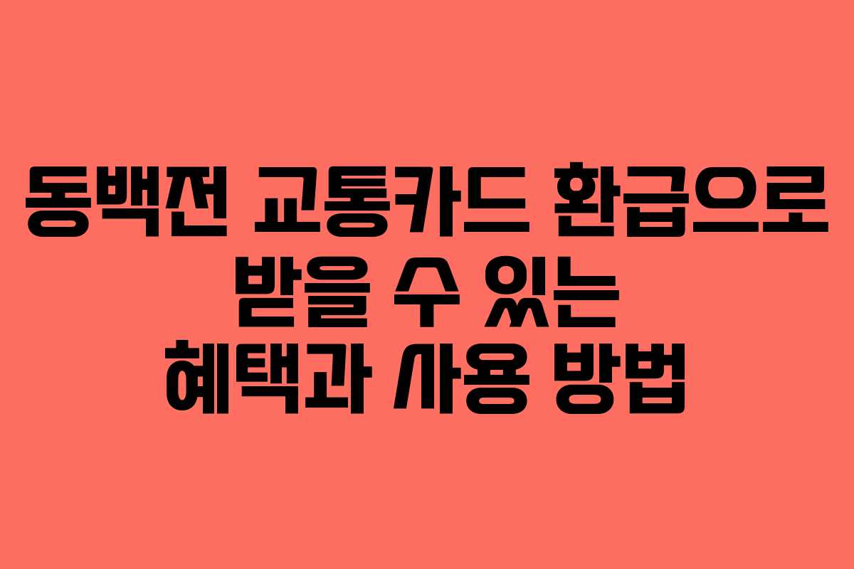 동백전 교통카드 환급으로 받을 수 있는 혜택과 사용 방법