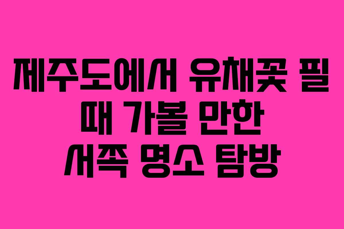 제주도에서 유채꽃 필 때 가볼 만한 서쪽 명소 탐방