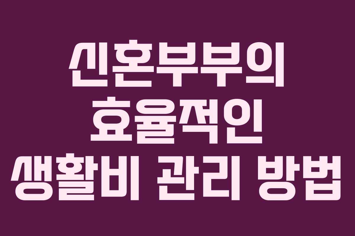 신혼부부의 효율적인 생활비 관리 방법
