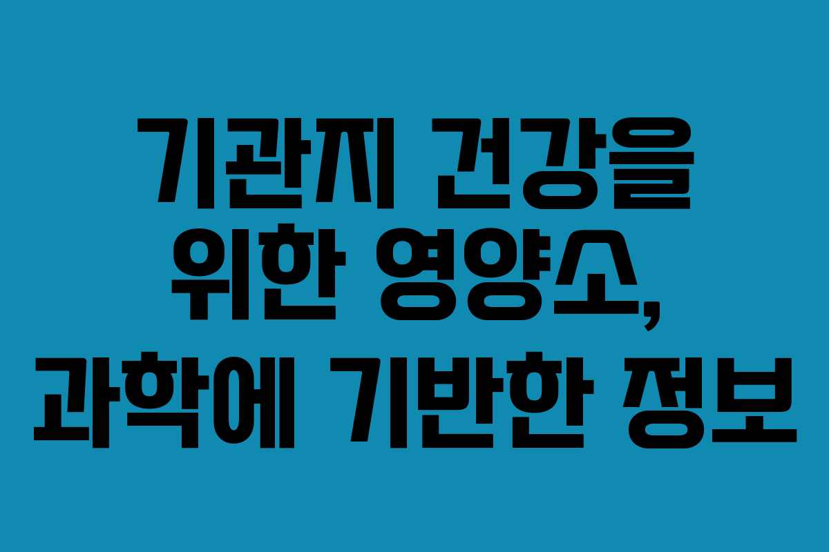 기관지 건강을 위한 영양소, 과학에 기반한 정보 기관지 건강을 위한 영양소, 과학에 기반한 정보