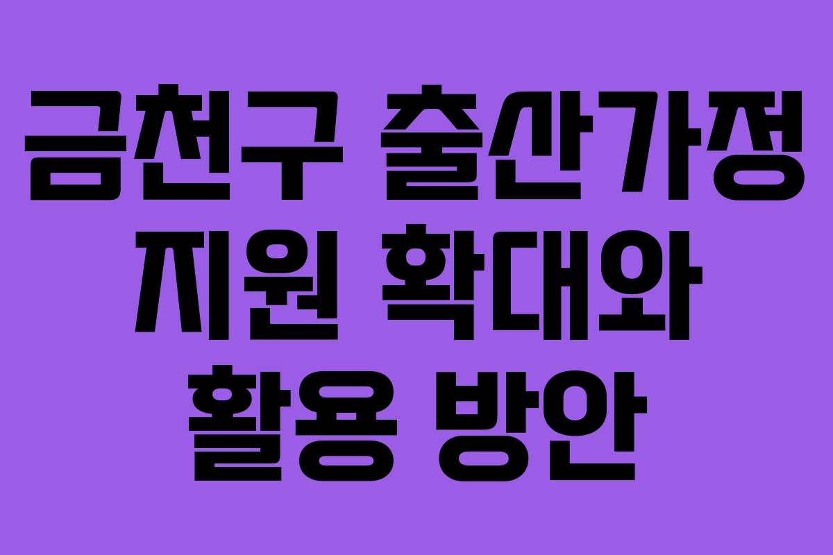 금천구 출산가정 지원 확대와 활용 방안