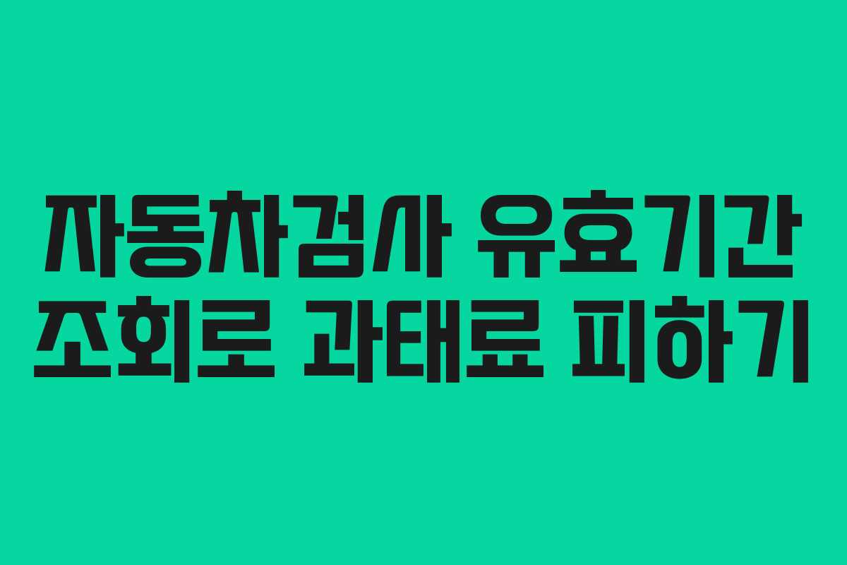자동차검사 유효기간 조회로 과태료 피하기 자동차검사 유효기간 조회로 과태료 피하기
