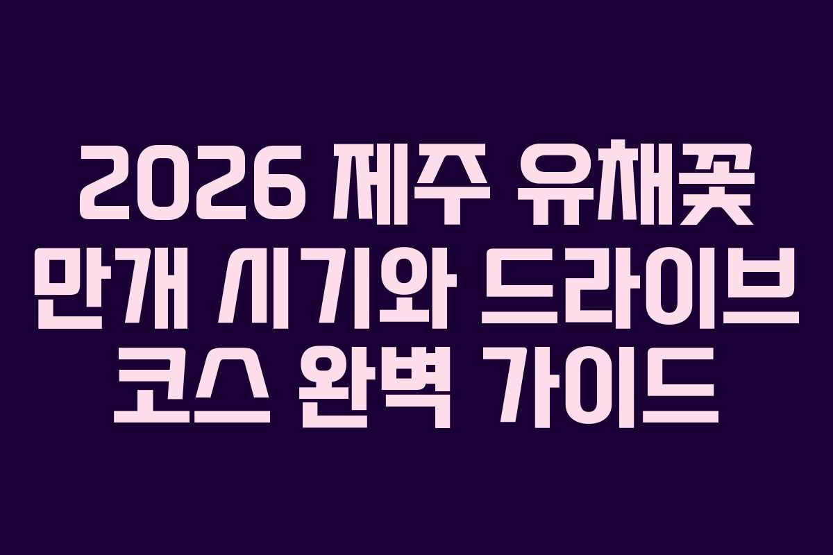 2026 제주 유채꽃 만개 시기와 드라이브 코스 완벽 가이드