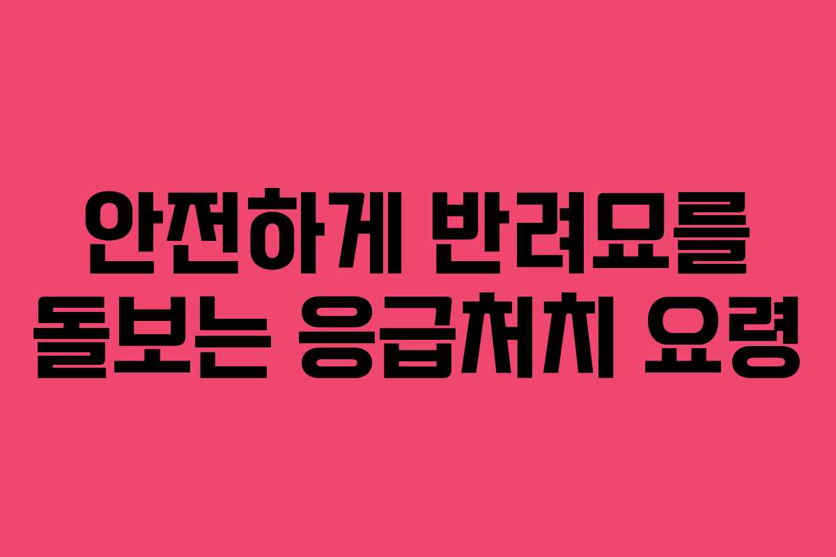 안전하게 반려묘를 돌보는 응급처치 요령