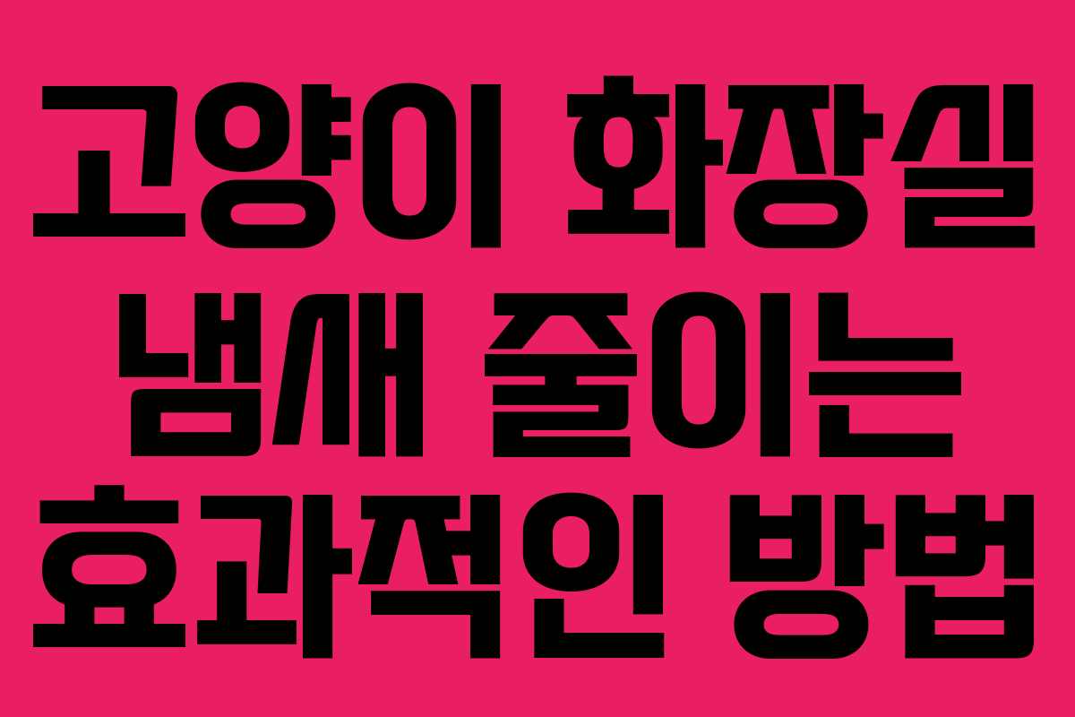 고양이 화장실 냄새 줄이는 효과적인 방법