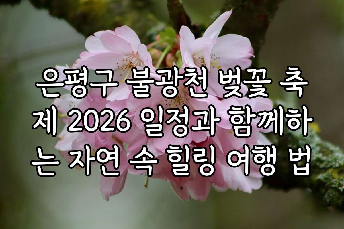 은평구 불광천 벚꽃 축제 2026 일정과 함께하는 자연 속 힐링 여행 법