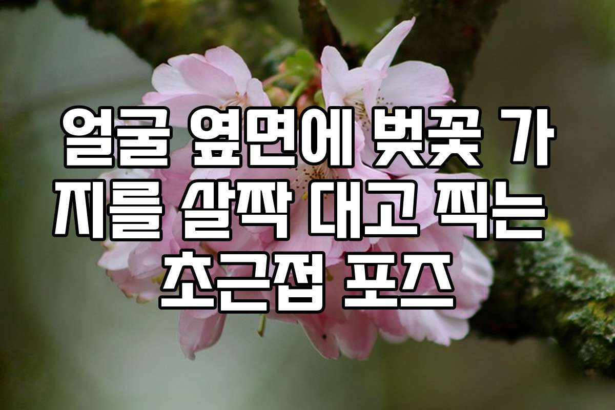 얼굴 옆면에 벚꽃 가지를 살짝 대고 찍는 초근접 포즈