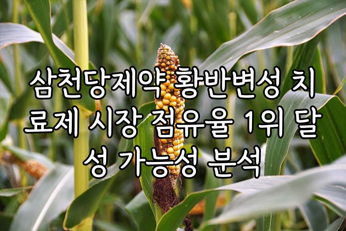 삼천당제약 황반변성 치료제 시장 점유율 1위 달성 가능성 분석