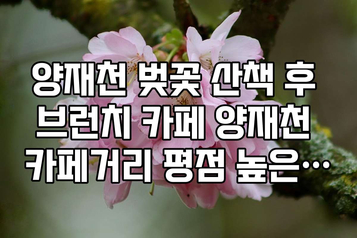 양재천 벚꽃 산책 후 브런치 카페 양재천 카페거리 평점 높은 곳 5선
