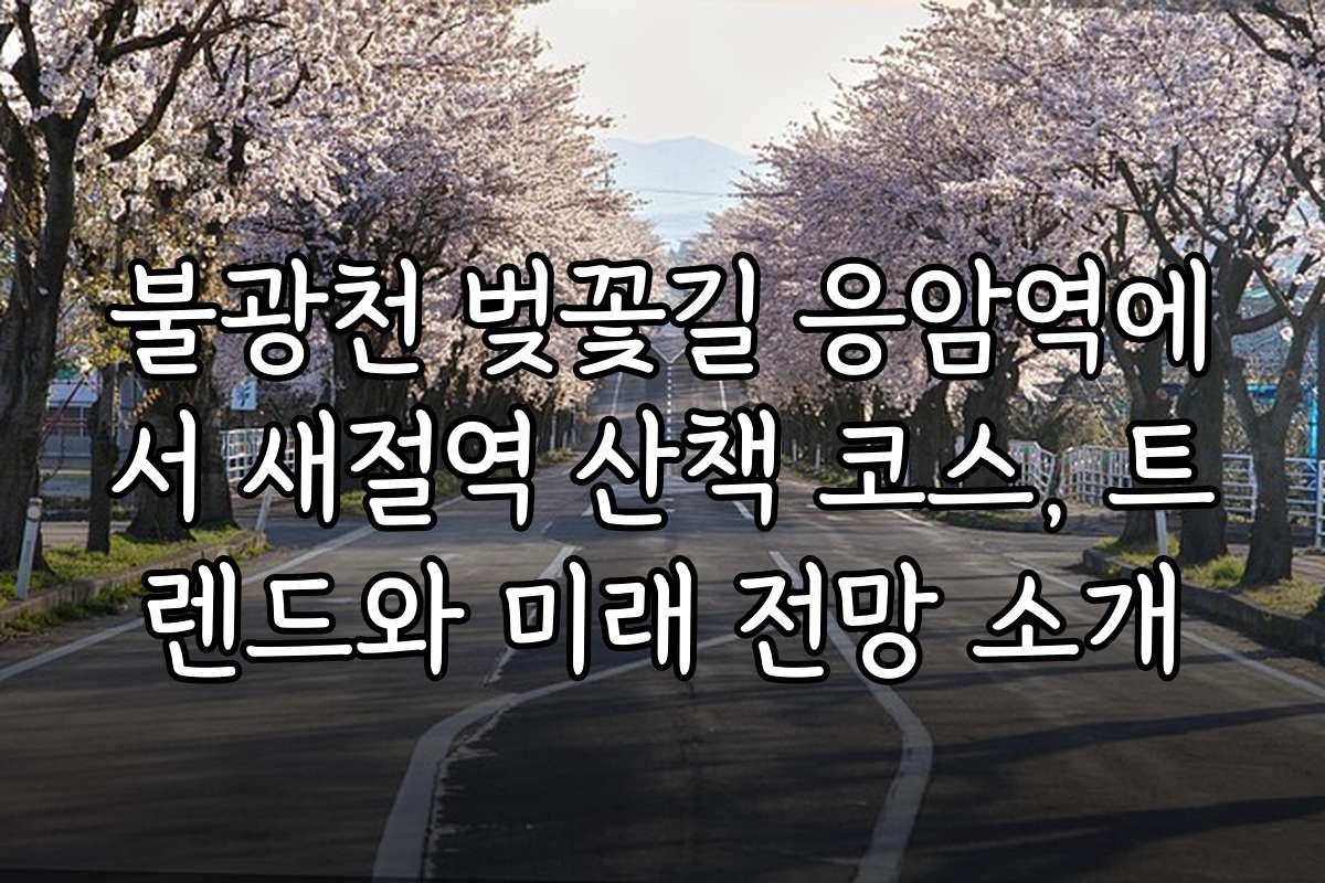 불광천 벚꽃길 응암역에서 새절역 산책 코스, 트렌드와 미래 전망 소개