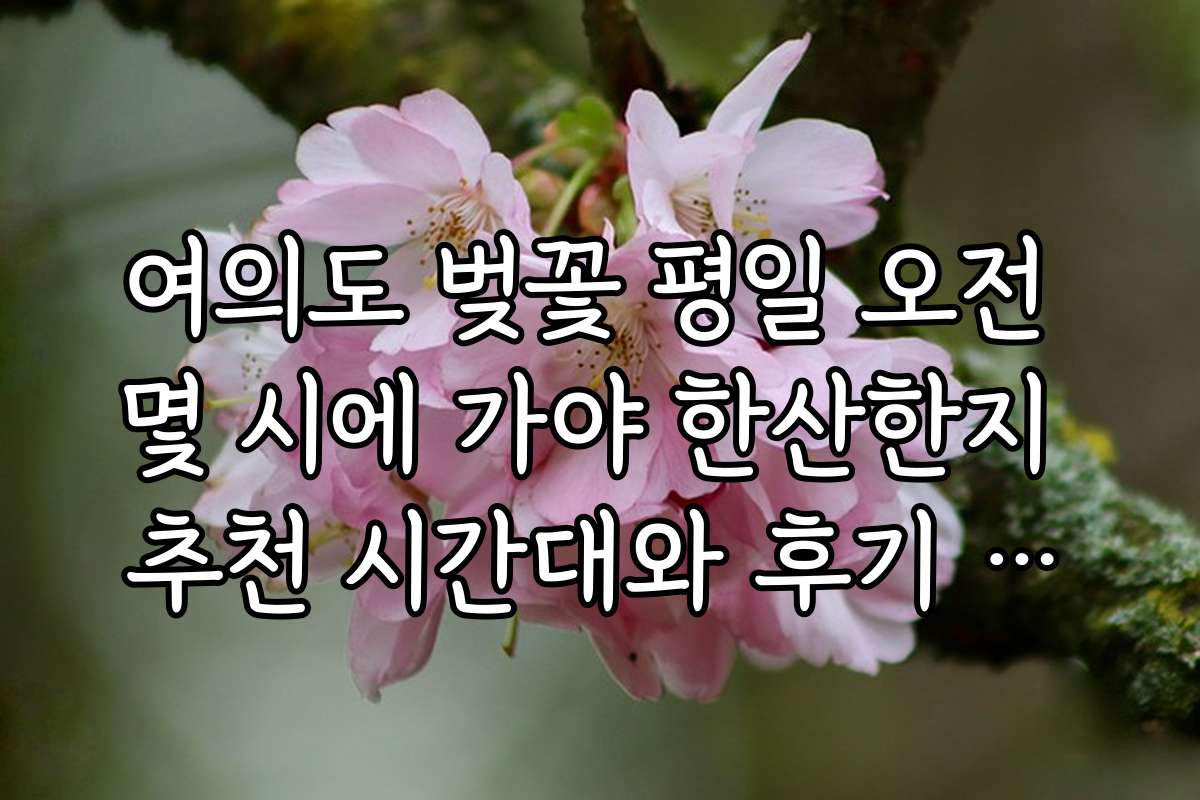 여의도 벚꽃 평일 오전 몇 시에 가야 한산한지 추천 시간대와 후기 모음