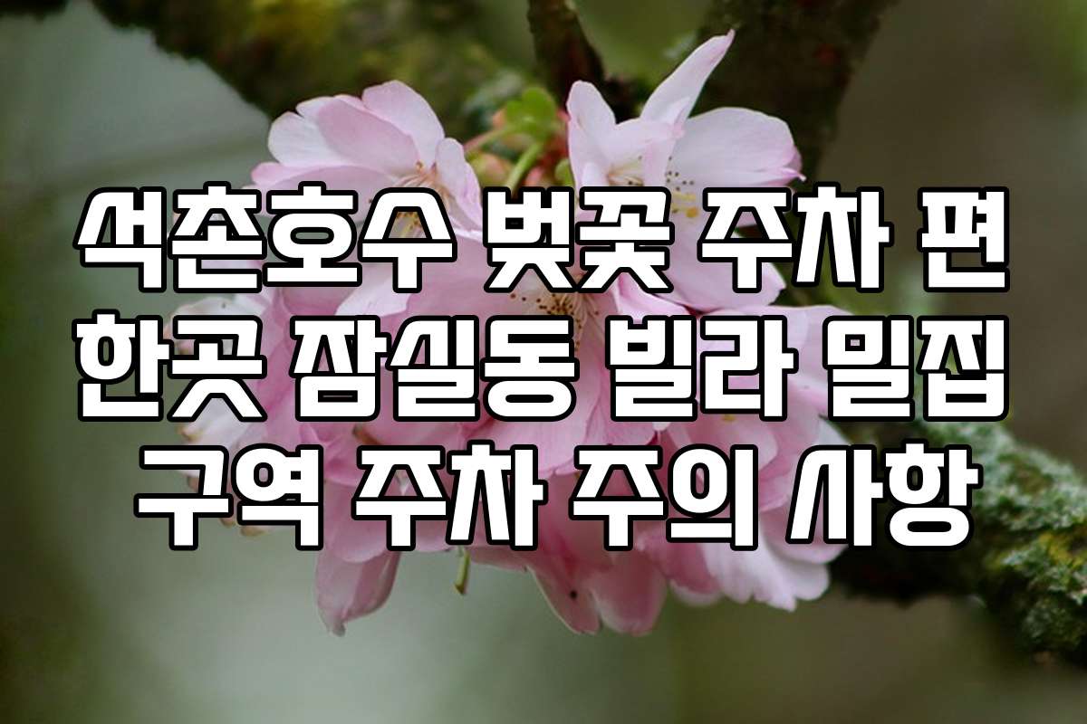 석촌호수 벚꽃 주차 편한곳 잠실동 빌라 밀집 구역 주차 주의 사항