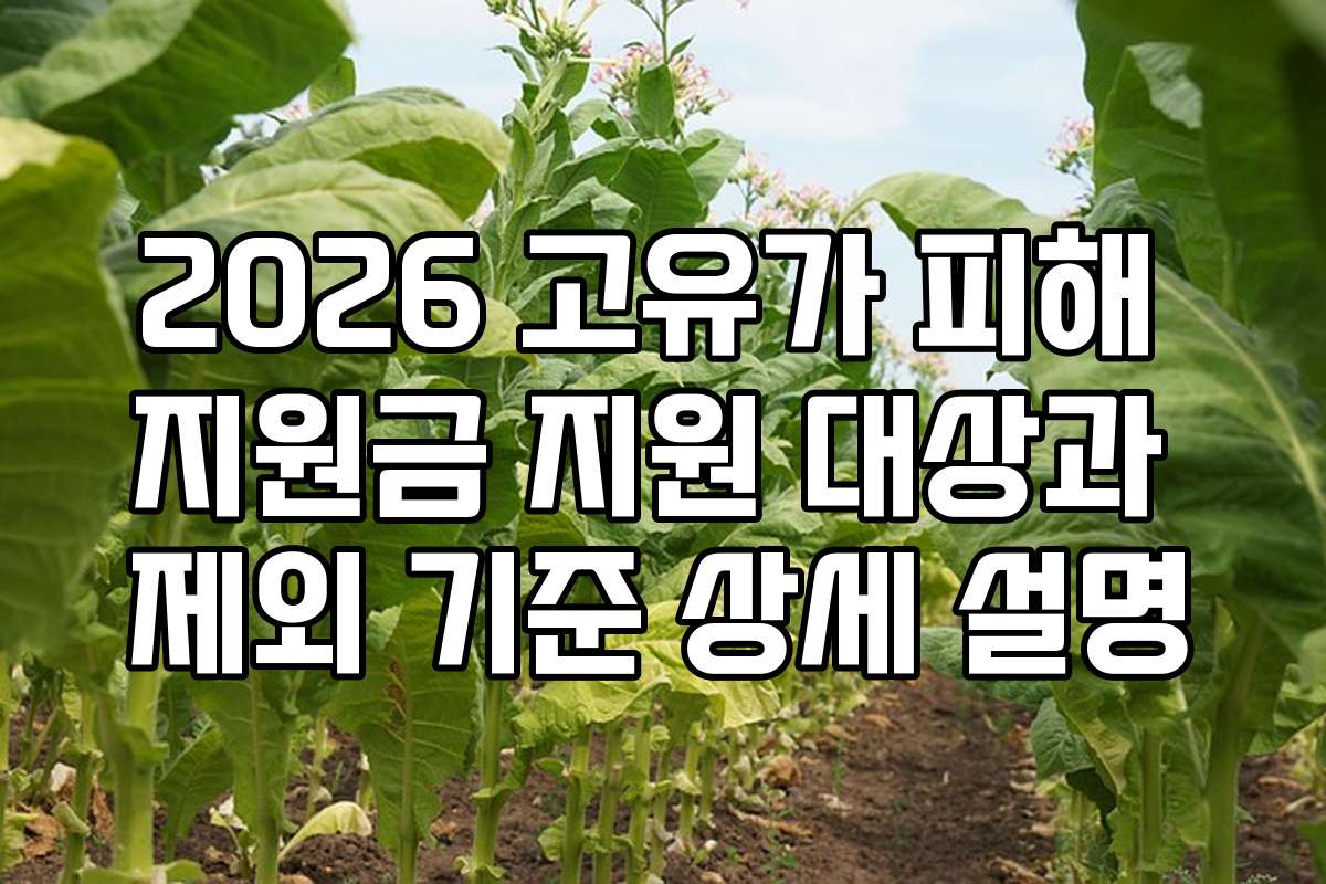 2026 고유가 피해 지원금 지원 대상과 제외 기준 상세 설명