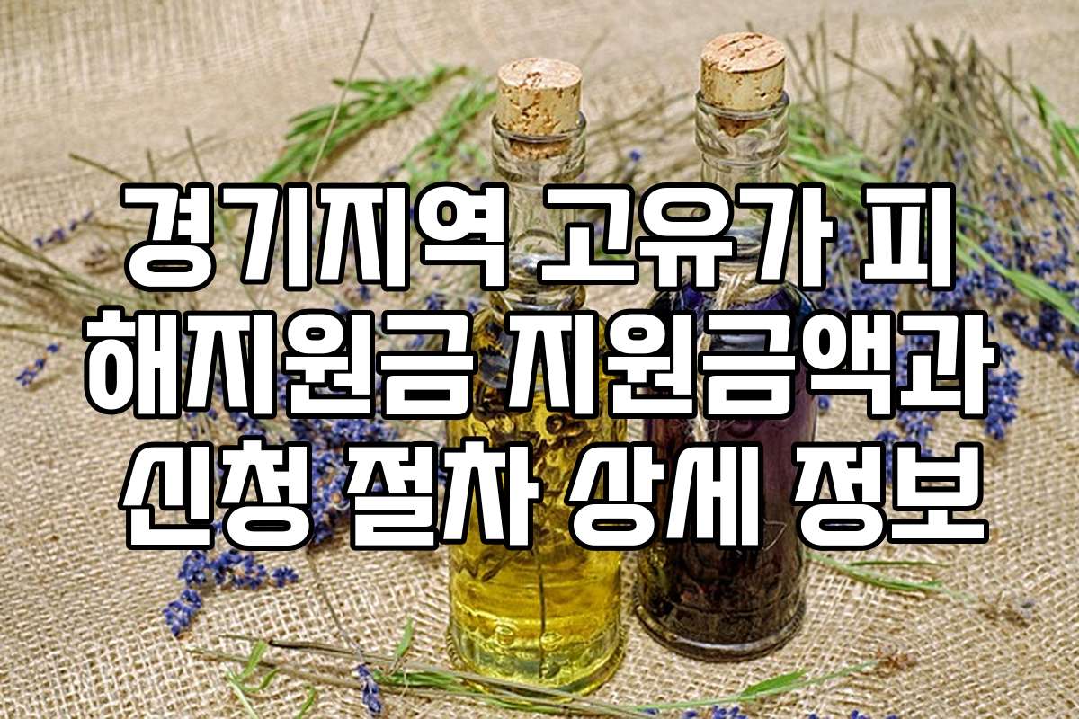 경기지역 고유가 피해지원금 지원금액과 신청 절차 상세 정보