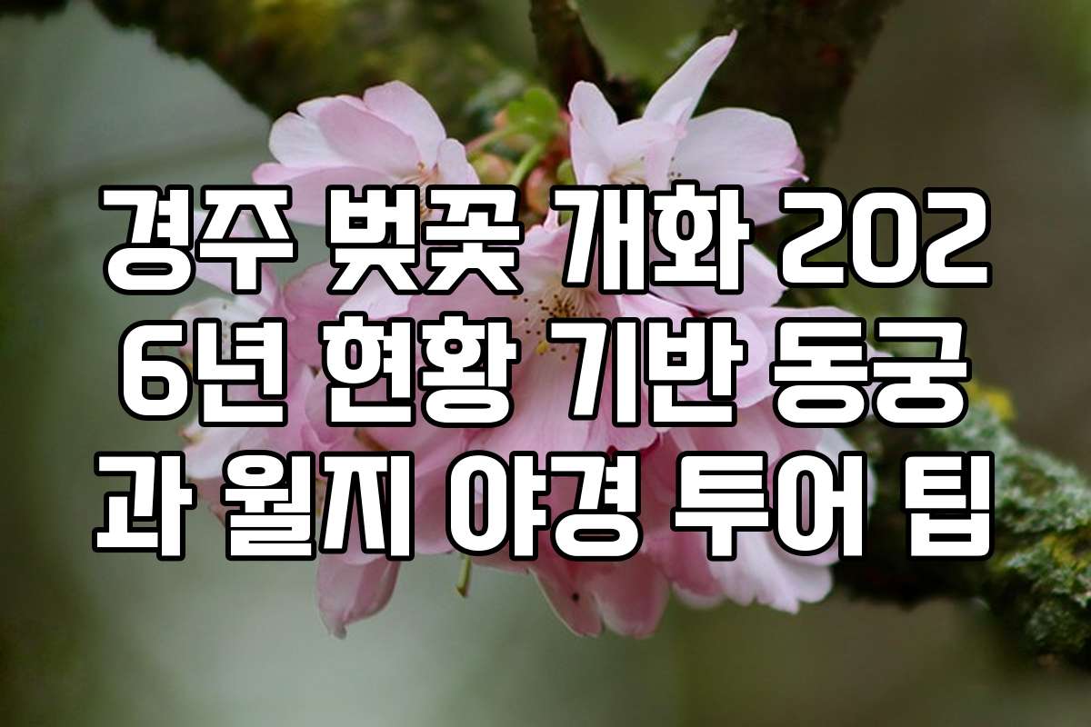 경주 벚꽃 개화 2026년 현황 기반 동궁과 월지 야경 투어 팁