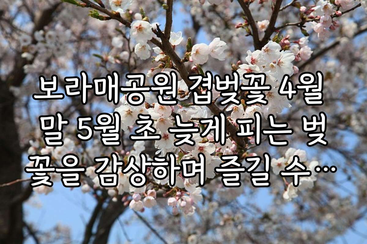 보라매공원 겹벚꽃 4월 말 5월 초 늦게 피는 벚꽃을 감상하며 즐길 수 있는 지역 맛집과 카페 추천 리스트