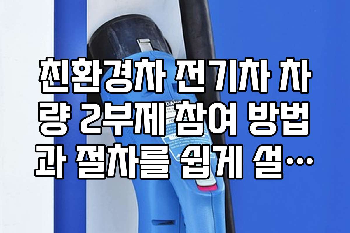 친환경차 전기차 차량 2부제 참여 방법과 절차를 쉽게 설명한다